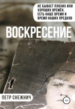 Книга - Петр  Снежнич - Воскресение (fb2) читать без регистрации