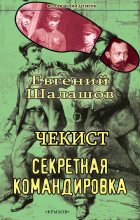 Книга - Евгений Васильевич Шалашов - Секретная командировка (fb2) читать без регистрации