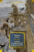 Книга - Виктор  Гюго - Собор Парижской Богоматери (fb2) читать без регистрации