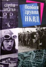 Книга - Сергей Александрович Богатко - Особая группа НКВД (fb2) читать без регистрации