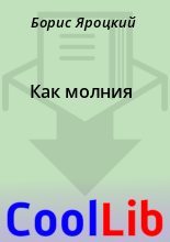 Книга - Борис  Яроцкий - Как молния (fb2) читать без регистрации