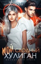 Книга - Маша  Малиновская - Мой сводный хулиган (fb2) читать без регистрации
