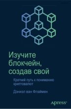Книга - Дэниэл ван  Флаймен - Изучите блокчейн, создав свой: краткий путь к пониманию криптовалют (pdf) читать без регистрации