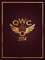 Книга - Джоан Кэтлин Роулинг - Чемпионат мира по квиддичу 2014 (fb2) читать без регистрации