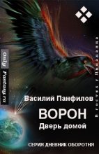 Книга - Василий Сергеевич Панфилов - Ворон. Дверь домой (fb2) читать без регистрации