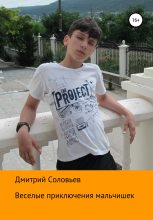 Книга - Дмитрий Андреевич Соловьев - Веселые приключения мальчишек (fb2) читать без регистрации