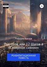 Книга - Рафаэль  Азизов - Пуд соли, или 12 Шагов в «Северном сиянии» (fb2) читать без регистрации