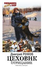 Книга - Дмитрий  Ромов - Отрицание (fb2) читать без регистрации