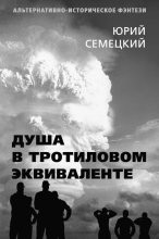 Книга - Юрий Михайлович Семецкий - Душа в тротиловом эквиваленте (fb2) читать без регистрации