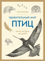 Книга - Тим  Беркхед - Удивительный мир птиц (fb2) читать без регистрации