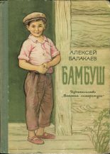 Книга - Алексей Гучинович Балакаев - Бамбуш (fb2) читать без регистрации