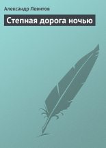 Книга - Александр Иванович Левитов - Степная дорога ночью (fb2) читать без регистрации