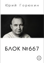 Книга - Юрий Александрович Горюхин - Блок №667 (fb2) читать без регистрации