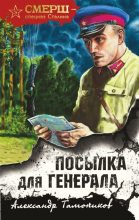 Книга - Александр Александрович Тамоников - Посылка для генерала (fb2) читать без регистрации