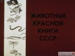 Книга - С.  Ошанин - Животные Красной книги СССР (pdf) читать без регистрации