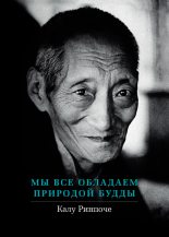 Книга - Калу  Ринпоче - Мы все обладаем природой Будды (fb2) читать без регистрации