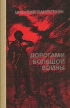 Книга - Виталий Александрович Закруткин - Дорогами большой войны (fb2) читать без регистрации