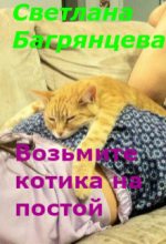Книга - Светлана  Багрянцева - Возьмите котика на постой (fb2) читать без регистрации