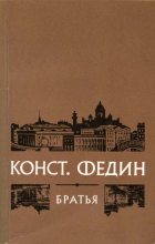 Книга - Константин Александрович Федин - Братья (fb2) читать без регистрации
