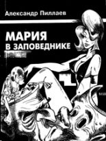 Книга - Александр  Пиллаев - Мария в заповеднике (fb2) читать без регистрации