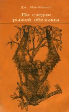 Книга - Джон  Мак-Киннон - По следам рыжей обезьяны (fb2) читать без регистрации