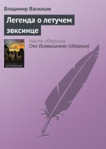Книга - Владимир Николаевич Васильев - Легенда о летучем эвксинце (fb2) читать без регистрации