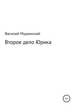 Книга - Василий  Мушинский - Второе дело Юрика (fb2) читать без регистрации