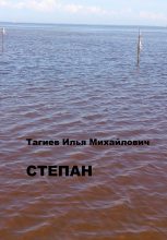 Книга - Илья Михайлович Тагиев - Степан (fb2) читать без регистрации