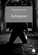 Книга - Владимир  Анин - Лабиринт (fb2) читать без регистрации