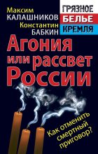 Книга - Максим  Калашников - Агония или рассвет России. Как отменить смертный приговор? (fb2) читать без регистрации