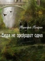 Книга - Тимофей Николаевич Печёрин - Беда не приходит одна (fb2) читать без регистрации
