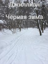 Книга - Ульяна  Каршева - Чёрная зима (fb2) читать без регистрации