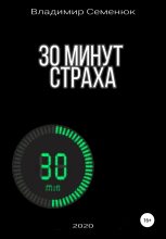Книга - Владимир  Семенюк - 30 минут страха (fb2) читать без регистрации