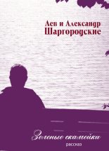 Книга - Александр  Шаргородский - Зеленые скамейки (fb2) читать без регистрации