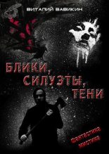 Книга - Виталий Николаевич Вавикин - Блики, силуэты, тени (fb2) читать без регистрации