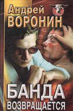 Книга - Андрей  Воронин - Банда возвращается (fb2) читать без регистрации
