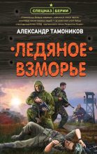 Книга - Александр Александрович Тамоников - Ледяное взморье (fb2) читать без регистрации