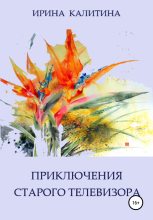 Книга - Ирина  Калитина - Приключения старого телевизора (fb2) читать без регистрации