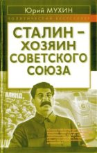 Книга - Юрий Игнатьевич Мухин - Сталин - хозяин СССР (fb2) читать без регистрации