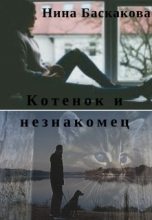 Книга - Нина  Баскакова - Котенок и незнакомец (СИ) (fb2) читать без регистрации