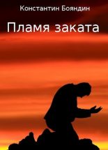 Книга - Константин Юрьевич Бояндин - Пламя заката (fb2) читать без регистрации