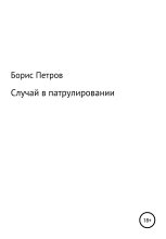 Книга - Борис Борисович Петров - Случай в патрулировании (fb2) читать без регистрации
