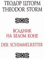 Книга - Теодор  Шторм - Всадник на белом коне (fb2) читать без регистрации
