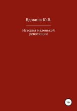Книга - Юлия  Вдовина - История маленькой революции (fb2) читать без регистрации