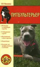 Книга - Линиза Жувановна Жалпанова - Питбультерьер (fb2) читать без регистрации