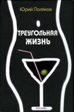 Книга - Юрий Михайлович Поляков - Геометрия любви (fb2) читать без регистрации