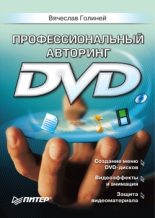 Книга - Вячеслав  Голиней - Профессиональный авторинг DVD (fb2) читать без регистрации