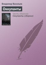 Книга - Владимир Николаевич Васильев - Оккупанты (fb2) читать без регистрации