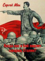 Книга - Сергей Леонидович Мех - Когда  нас в бой пошлет товарищ  Сталин? (fb2) читать без регистрации