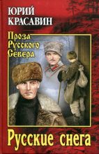 Книга - Юрий Васильевич Красавин - Русские снега (fb2) читать без регистрации